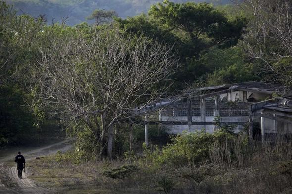 Meksika'da toplu mezardan 166 kafatası çıktı