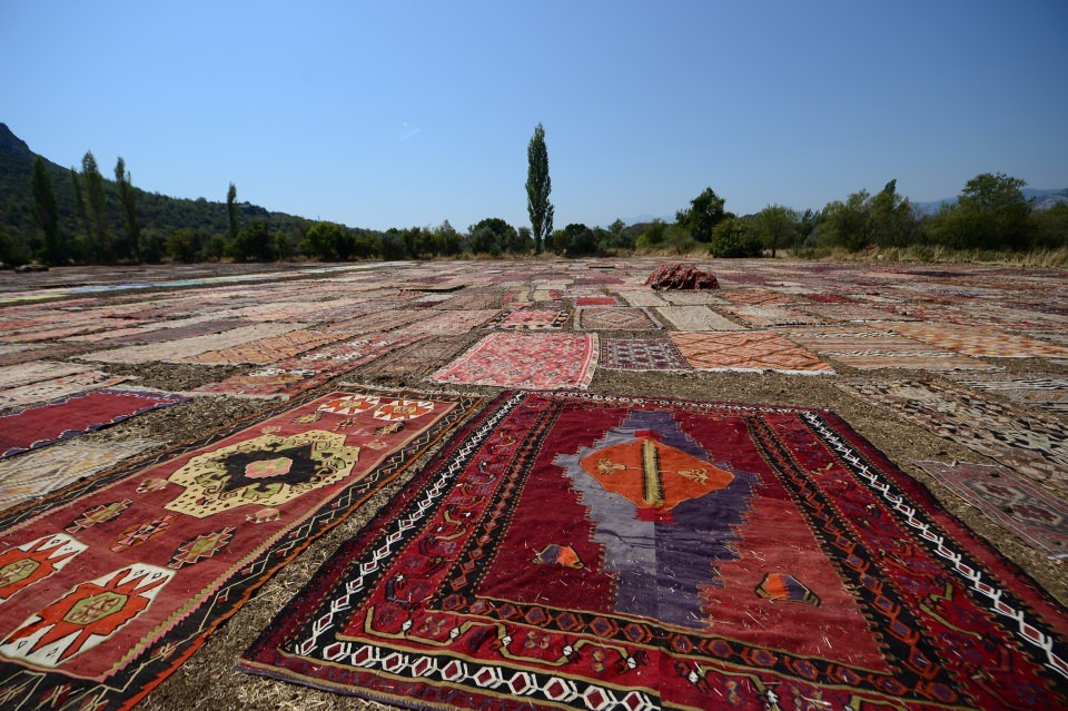 Binlerce halı tarlaya dönüştü!