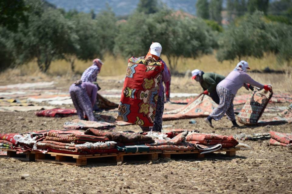 Binlerce halı tarlaya dönüştü!