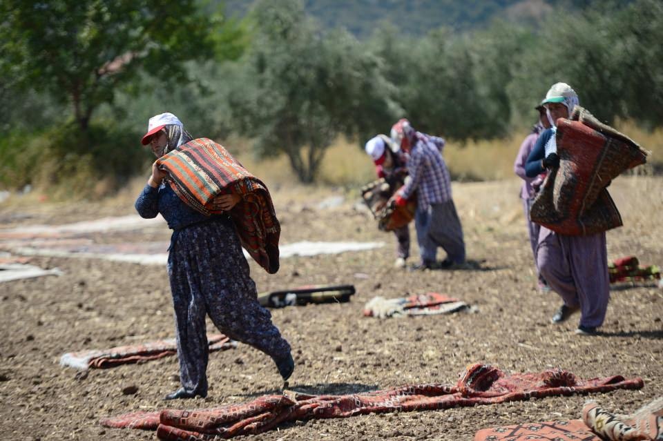 Binlerce halı tarlaya dönüştü!