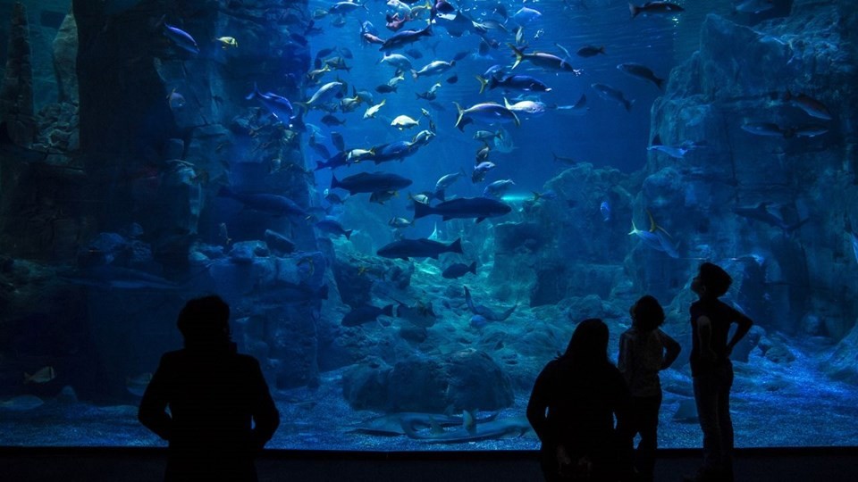 İstanbul'da çocuklar için sömestr tatilinin en eğlenceli adresleri