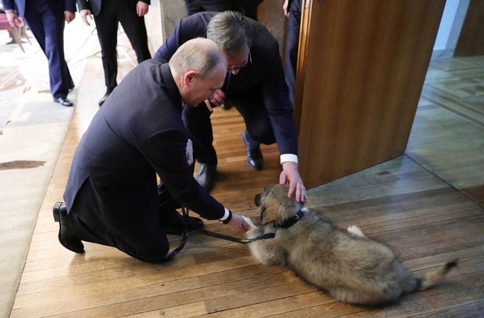 Sırbistan'da Putin'e görkemli tören! Köpek hediye edildi