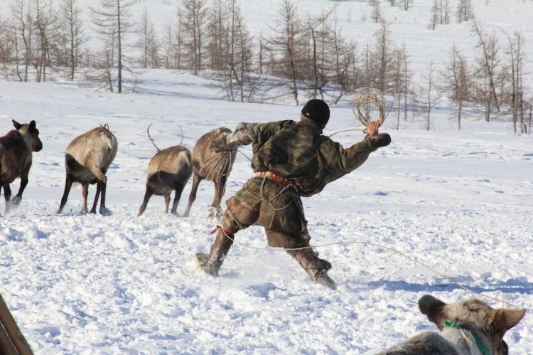 Dünyanın en tuhaf kabilesi: Çiğ et yiyip kan içebiliyorlar