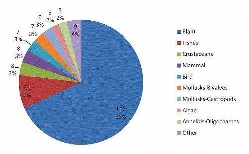 Bilinmeyen en ilginç 50 gerçek