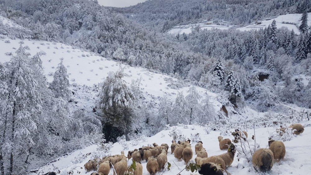 Yurttan kar manzaraları