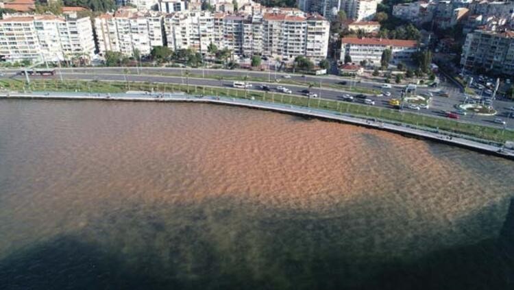 Su borusu patlağı İzmir Körfezi'nin rengini değiştirdi