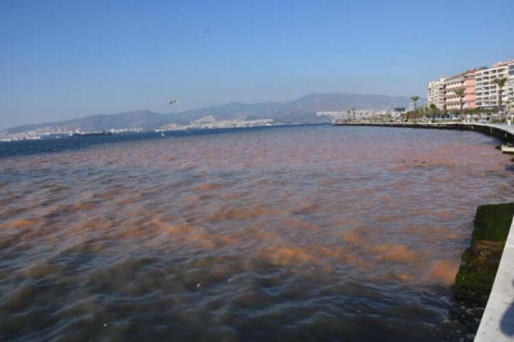 Su borusu patlağı İzmir Körfezi'nin rengini değiştirdi