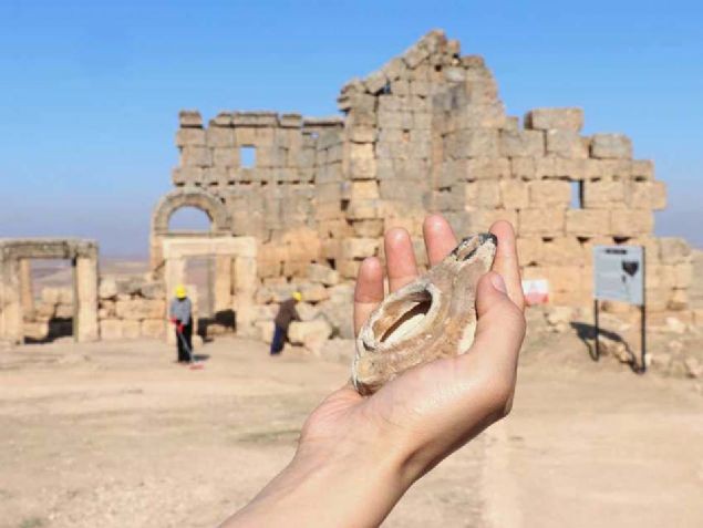  Roma dönemine ait, bin 500 yıllık... 48 adet bulundu