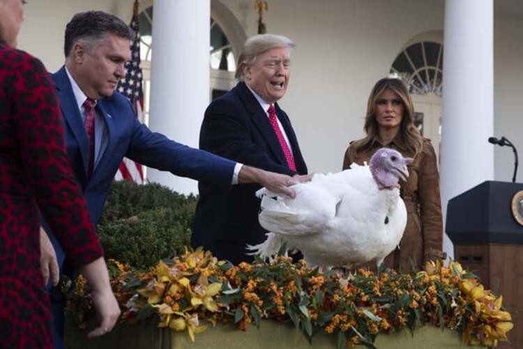 Trump 'Şükran Günü' için iki hindiyi affetti