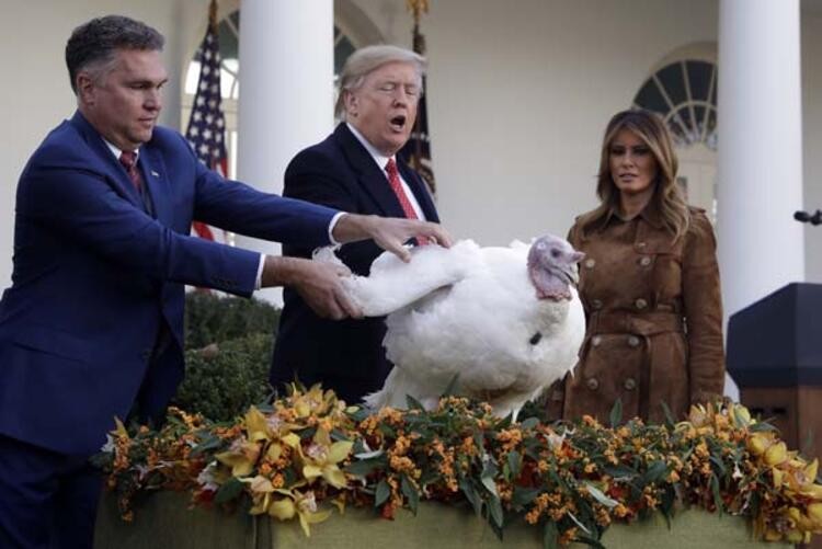 Trump 'Şükran Günü' için iki hindiyi affetti