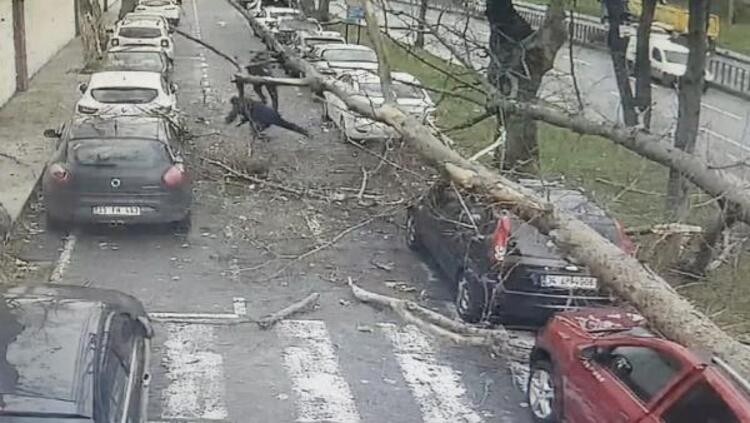 İstanbul’da fırtına: Beydiklizü’nde çatı uçtu, Şişli’de ağaç devrildi