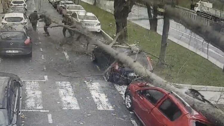 İstanbul’da fırtına: Beydiklizü’nde çatı uçtu, Şişli’de ağaç devrildi