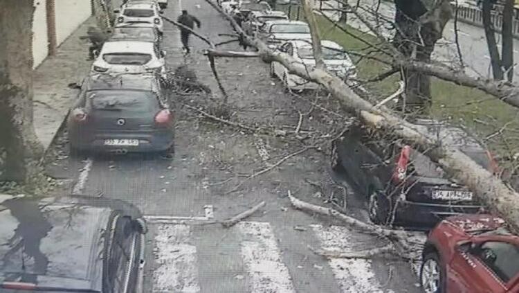 İstanbul’da fırtına: Beydiklizü’nde çatı uçtu, Şişli’de ağaç devrildi