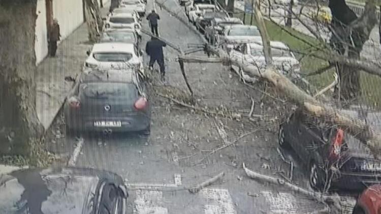 İstanbul’da fırtına: Beydiklizü’nde çatı uçtu, Şişli’de ağaç devrildi