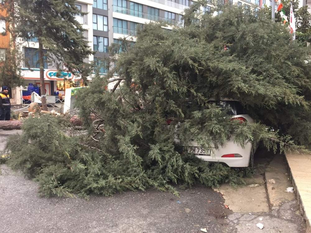 İstanbul’da fırtına: Beydiklizü’nde çatı uçtu, Şişli’de ağaç devrildi