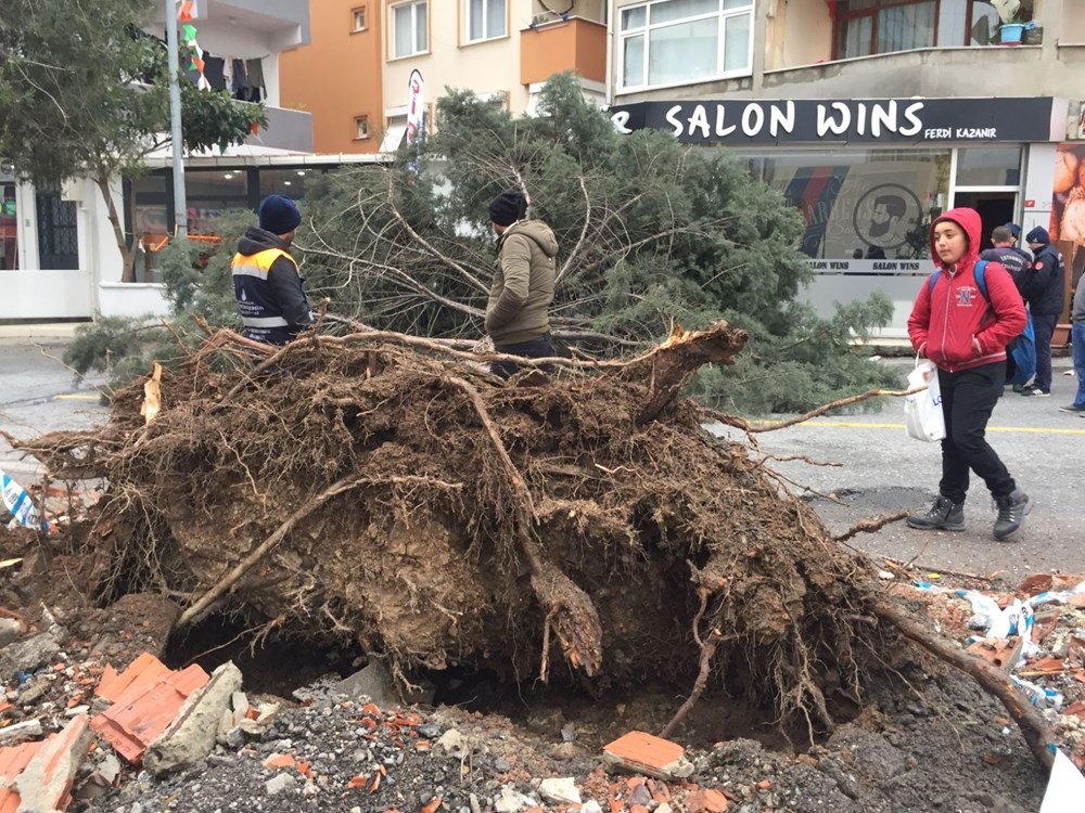 İstanbul’da fırtına: Beydiklizü’nde çatı uçtu, Şişli’de ağaç devrildi