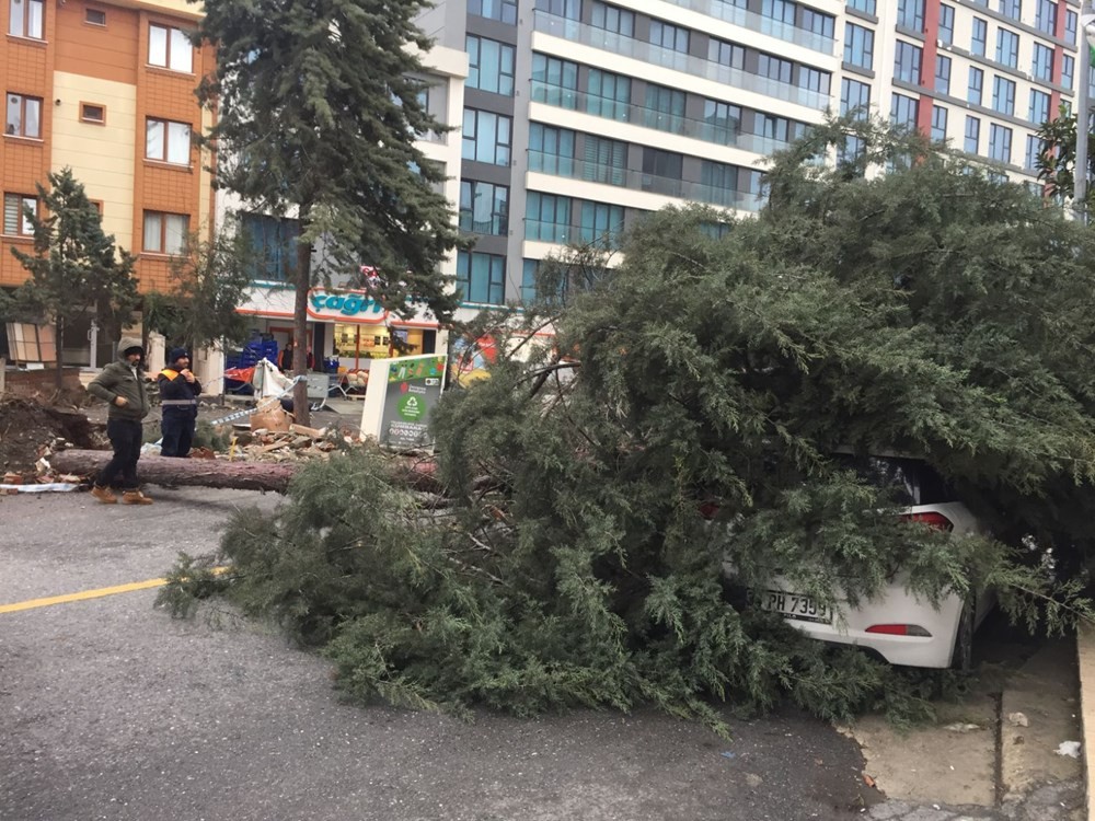 İstanbul’da fırtına: Beydiklizü’nde çatı uçtu, Şişli’de ağaç devrildi