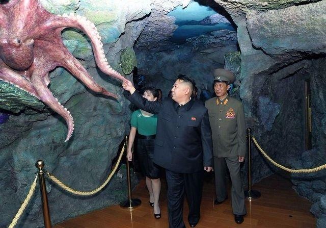 Kim Jong Un'un eşi Ri Sol Ju hakkında bilinmeyenler