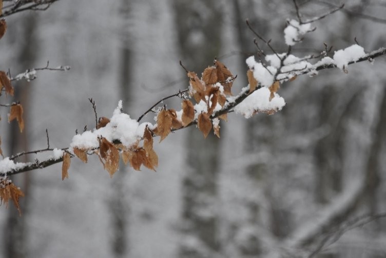 Meteoroloji uyardı! Tüm yurdu etkileyecek