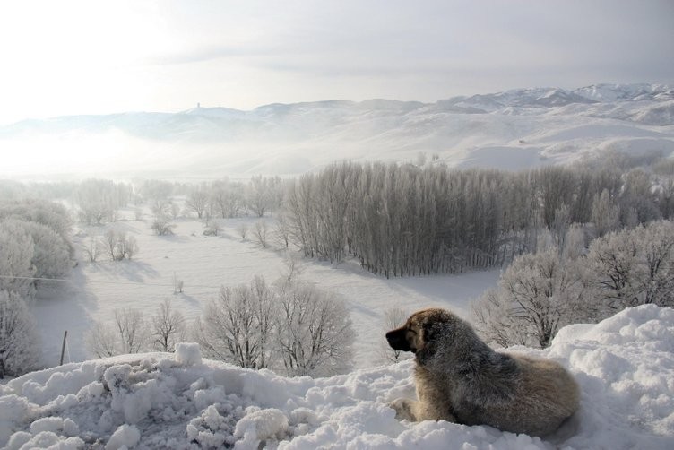 Meteoroloji uyardı! Tüm yurdu etkileyecek