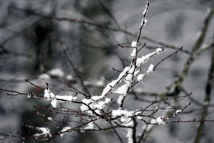 Meteoroloji uyardı! Tüm yurdu etkileyecek