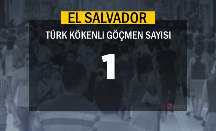 İşte ülkelerdeki Türk göçmen sayısı