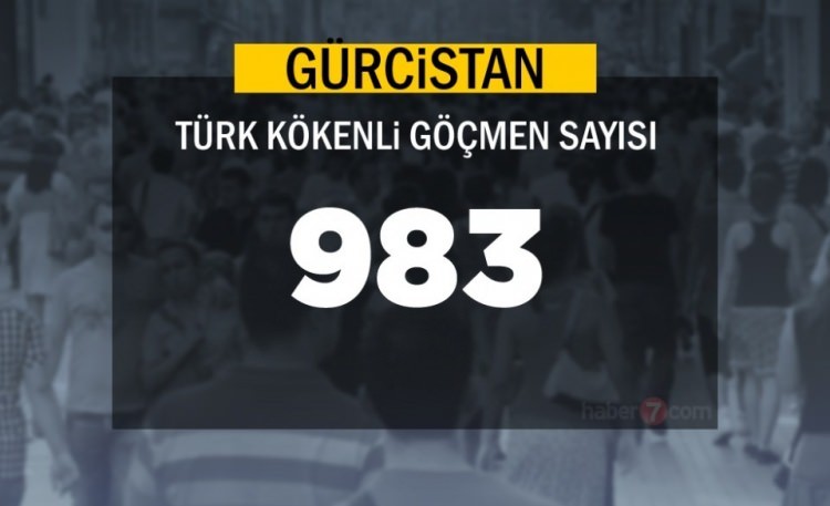 İşte ülkelerdeki Türk göçmen sayısı