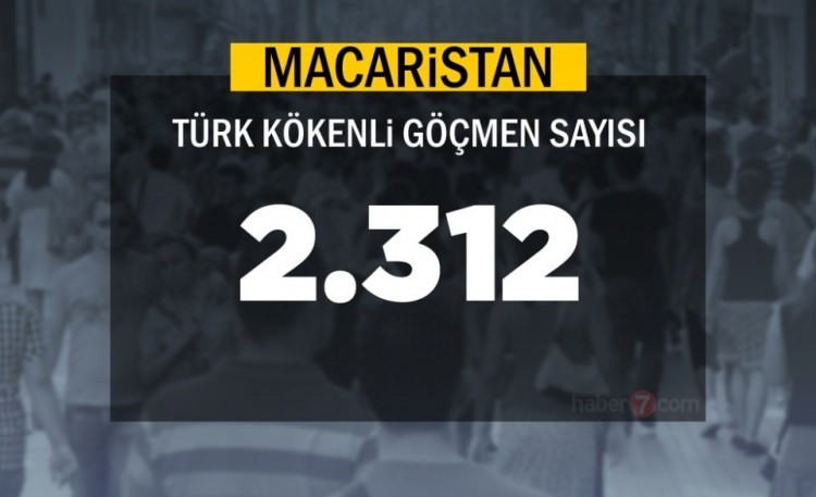 İşte ülkelerdeki Türk göçmen sayısı