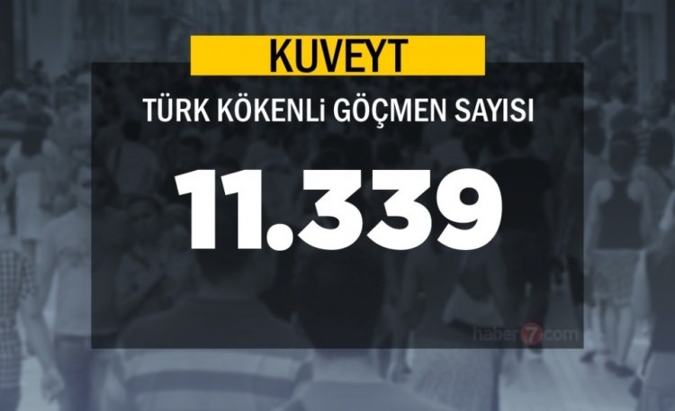 İşte ülkelerdeki Türk göçmen sayısı