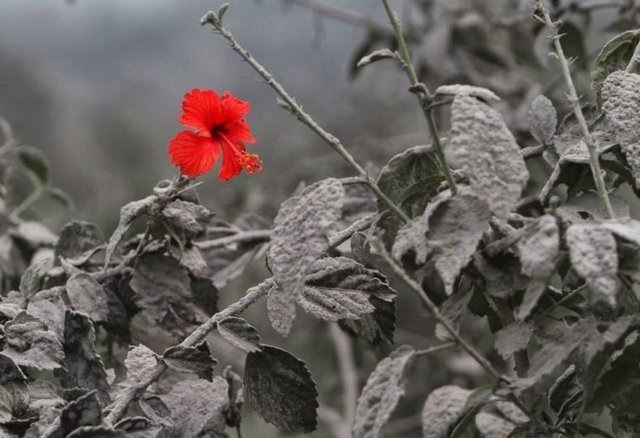 İşte görünce hayran kalacağınız kareler