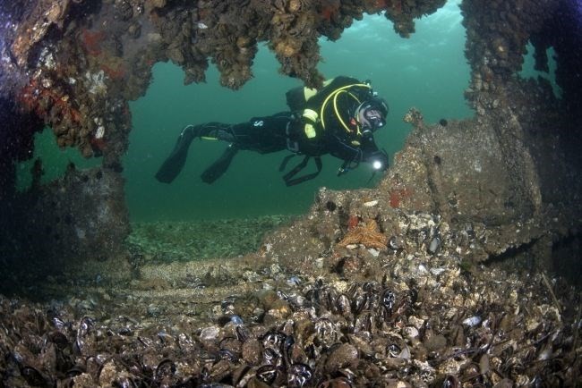 Çanakkale Boğazı'nın batık gemileri dalış turizmine kazandırılıyor