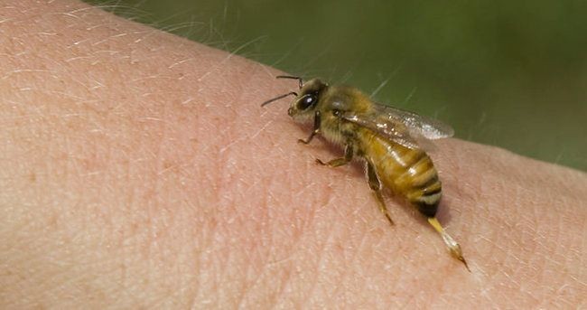 10 Adımda bahar alerjisinden korunun