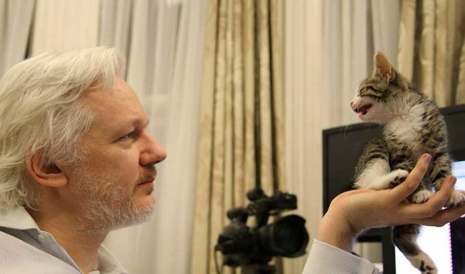 Tutuklanan Assange, ABD'ye teslim edilirse ne ceza alır?