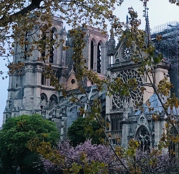 Notre Dame Katedrali yangın sonrası içeriden ilk kez görüntülendi!