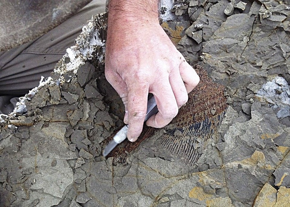 Dinozorların öldüğü günün detayları fosillerde bulundu