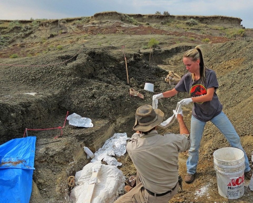 Dinozorların öldüğü günün detayları fosillerde bulundu