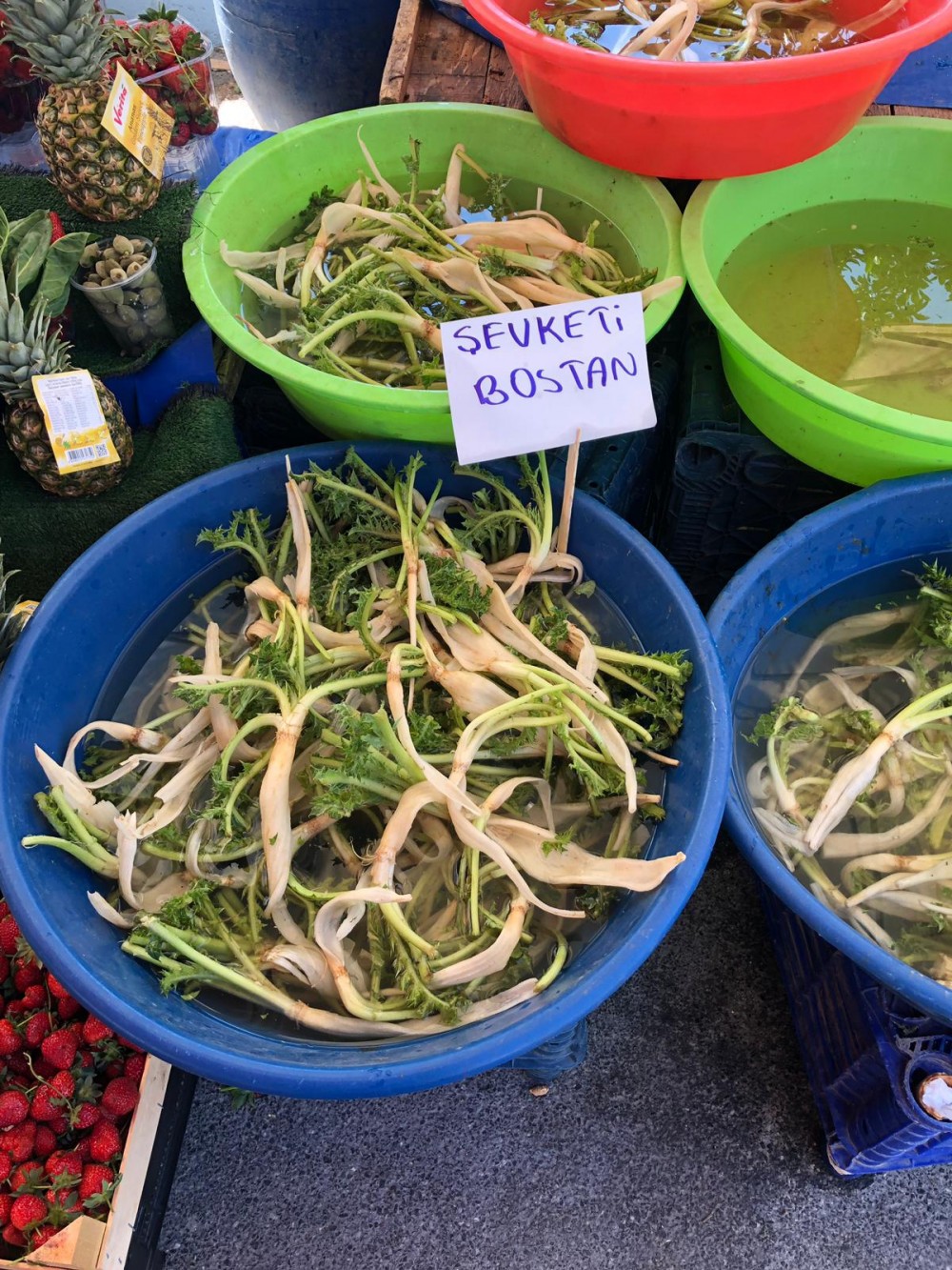 Alaçatı Ot Festivali bin bir çeşit lezzetle başladı