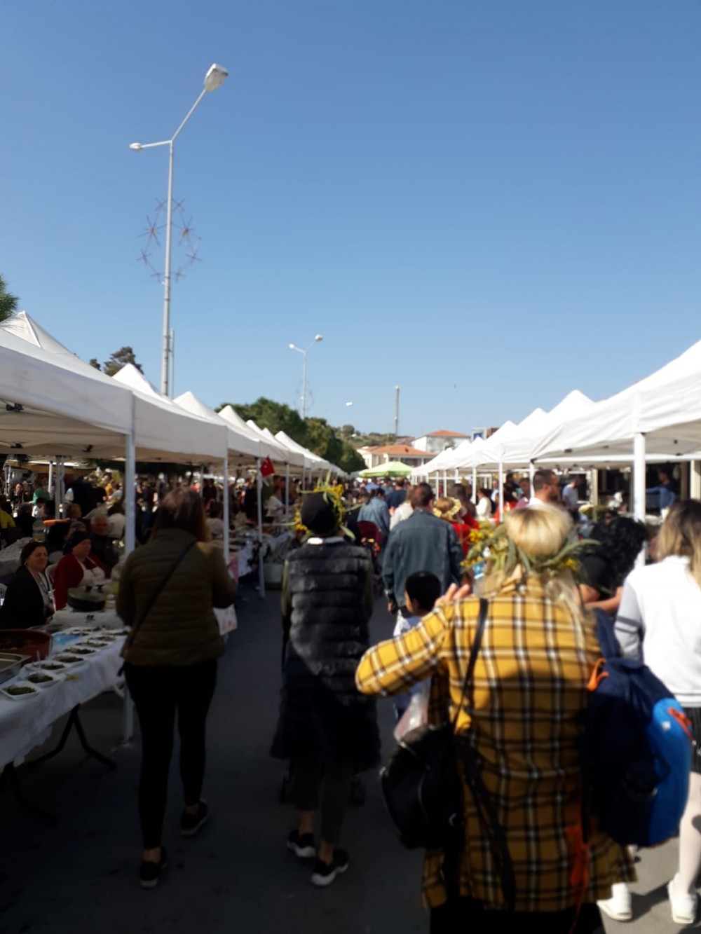 Alaçatı Ot Festivali bin bir çeşit lezzetle başladı