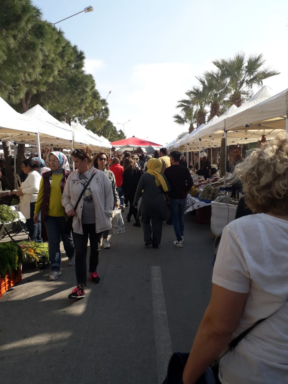 Alaçatı Ot Festivali bin bir çeşit lezzetle başladı