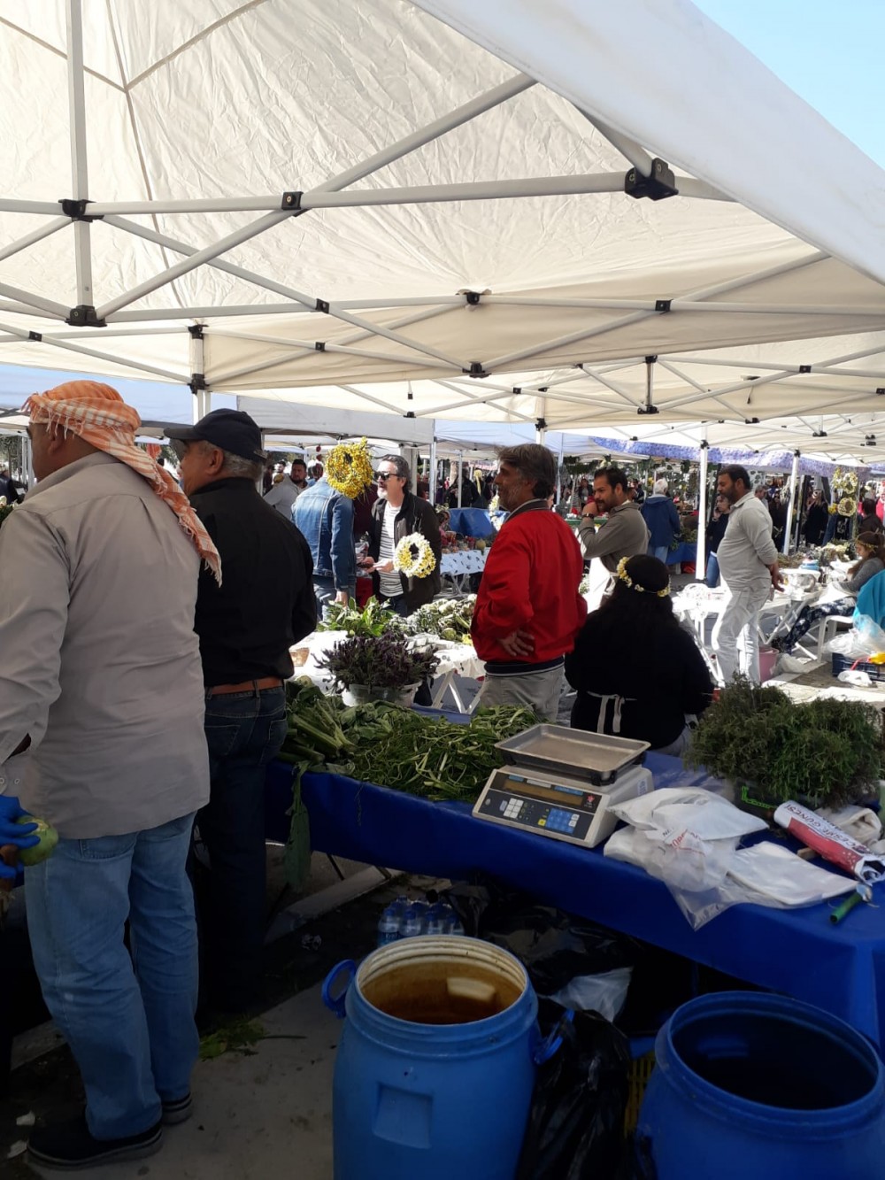 Alaçatı Ot Festivali bin bir çeşit lezzetle başladı