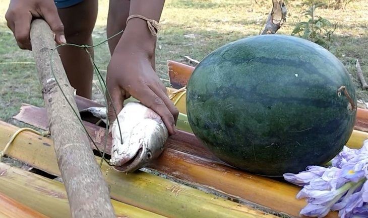 Hindistan cevizi ve karpuzun içinde yemek yaptı!