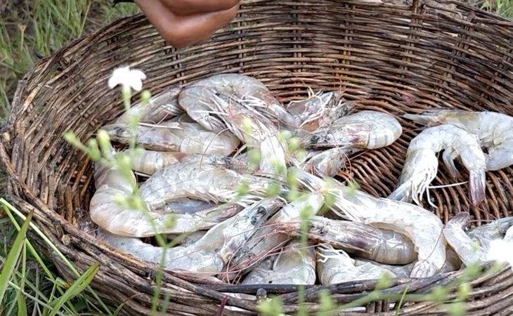 Hindistan cevizi ve karpuzun içinde yemek yaptı!