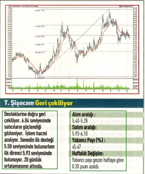 17 hisselik teknik analiz