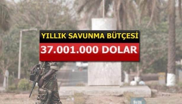 İslam Ordusu'na katılan 34 ülke ve savaş güçleri