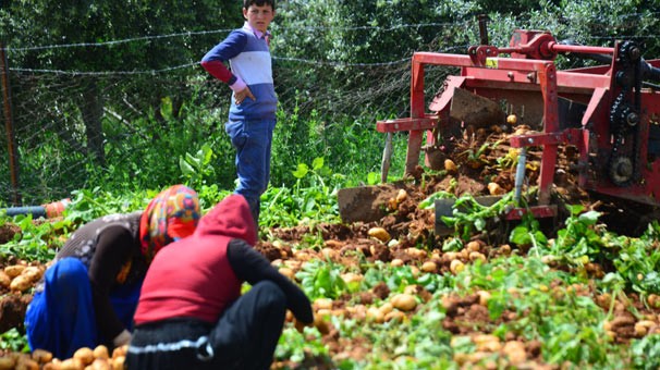 Herkesi ilgilendiriyor! Artık marketlerde...