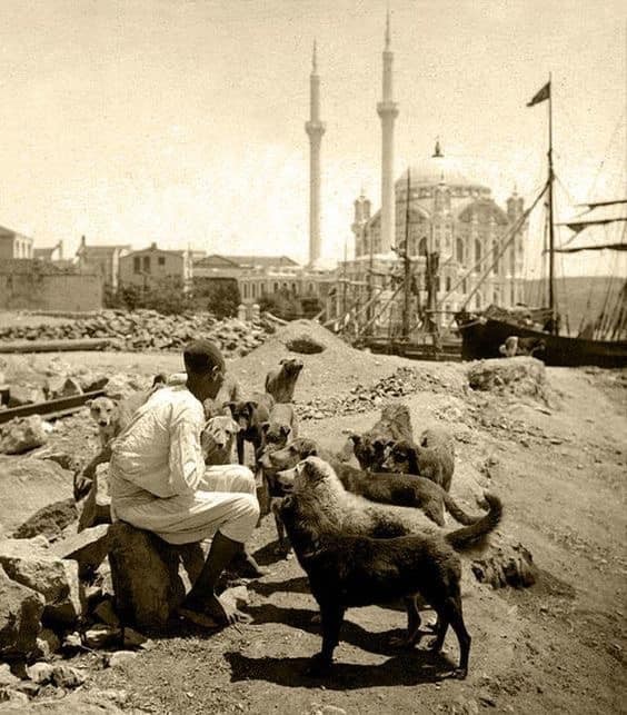 Ah güzel İstanbul