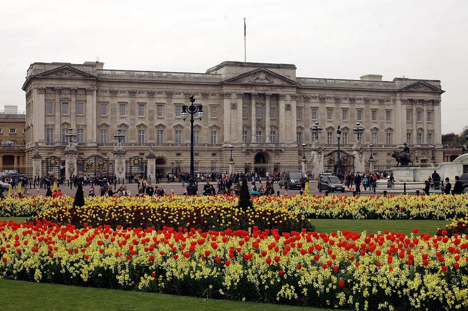 Buckingham Sarayı'nı fareler bastı