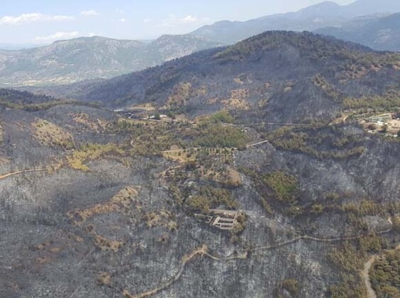 Muğla'daki kabusa dönen yangın söndürüldü! 