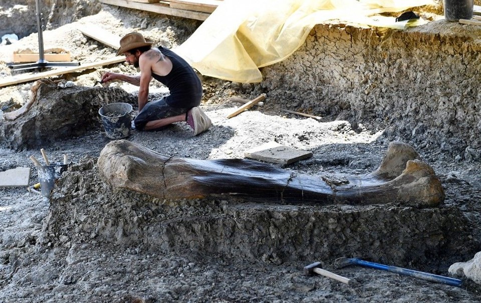 140 milyon yıllık dinozor kemiği bulundu