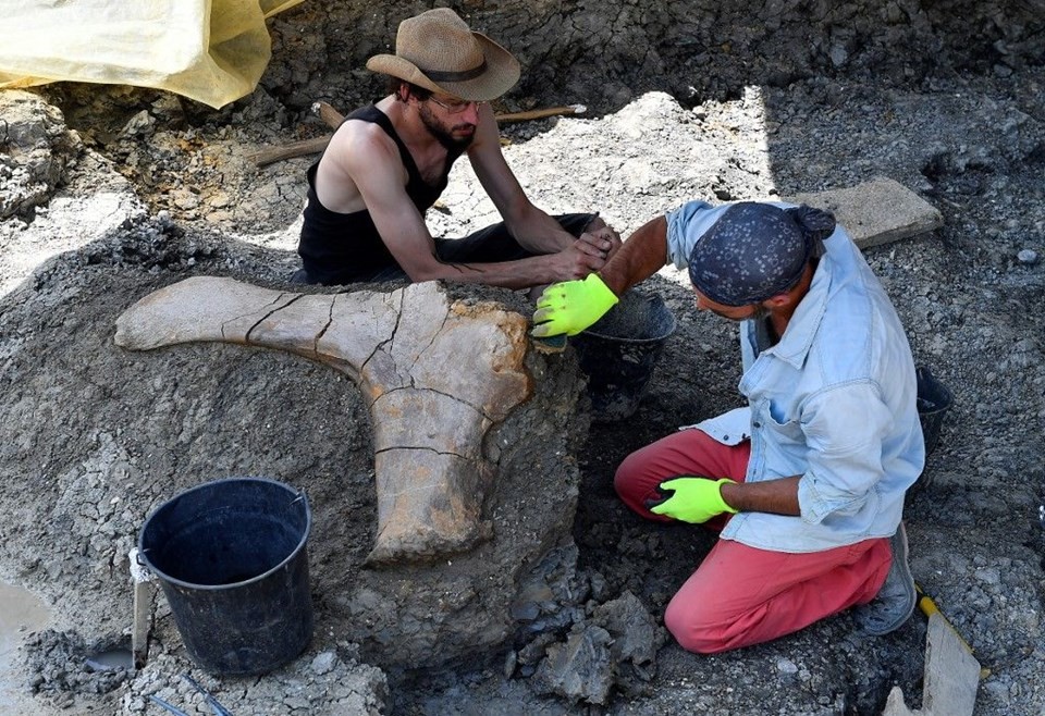 140 milyon yıllık dinozor kemiği bulundu